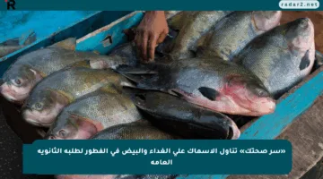 «سر صحتك» تناول الأسماك على الغداء والبيض في الفطور لطلبة الثانوية العامة